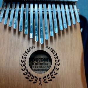 Unique musical instrument, new, in case, not played